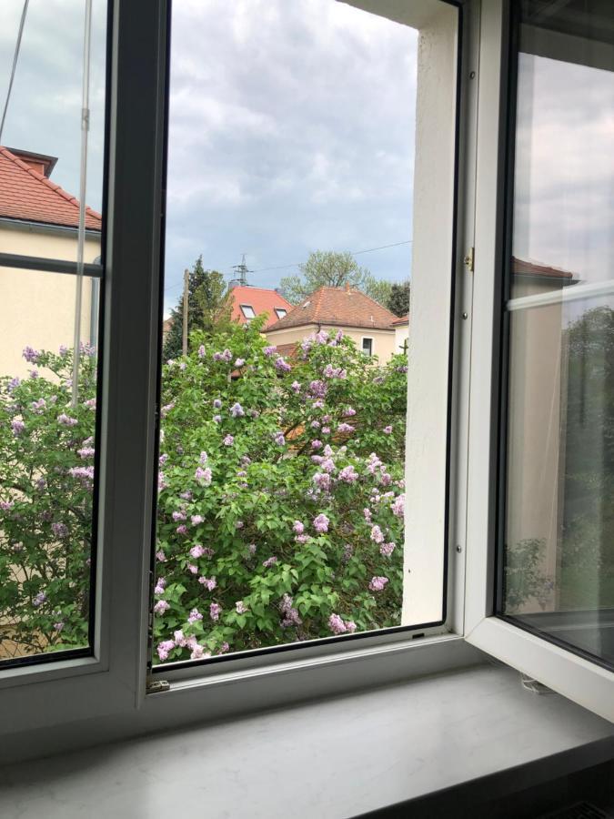 Ferienwohnung Wohlfühloase Dresden Nickern Exterior foto